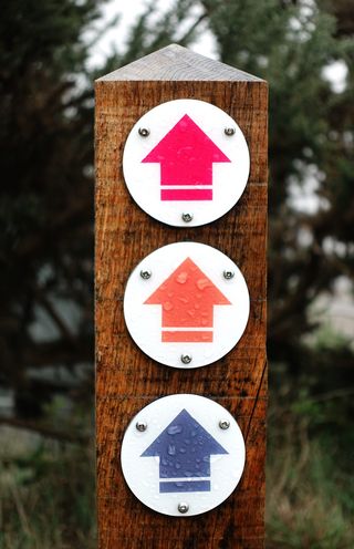 路标，箭头，方向，标记，标记，标志，方向，向上