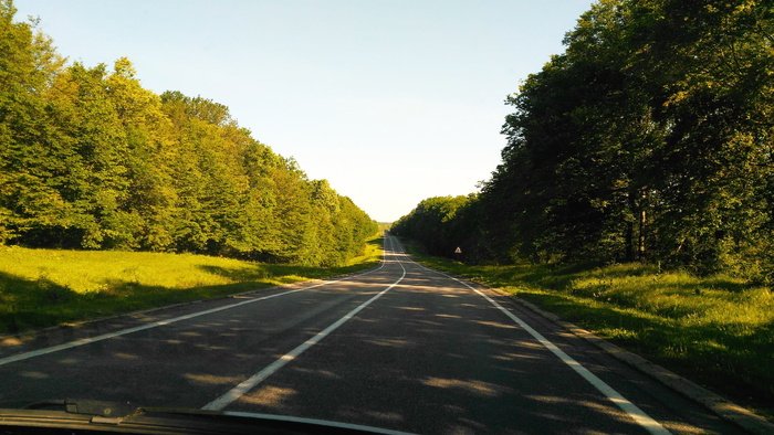 道路、森林、蓝天、沥青、树木、绿色、植被、自然
