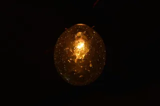 灯泡，深色，浅色，黑色背景，无人，单一物体，摄影棚拍摄，室内