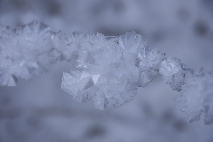 水晶、冰、冬天、特写、无人、白色、低温、聚焦前景