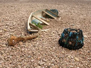 靴子、搁浅、陈旧、干燥、鱼类、沉船、海滩、海岸