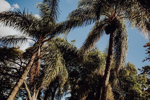 葡萄牙里斯本贝伦热带植物园