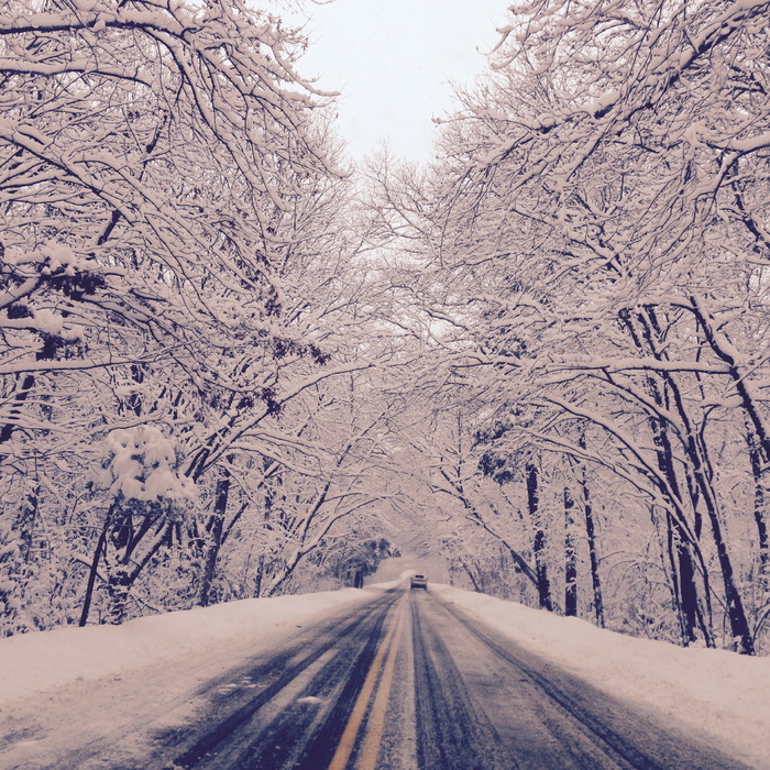 雪、冬天、驾驶、寒冷温度、道路、树木、交通、植物