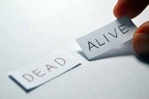 活着，死了，相反，选择，选择，决定，积极，文字