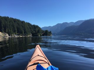 加拿大，深湾，海洋，海滨，自然，山脉，蓝天，大海