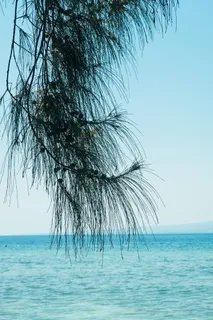 印尼，吉利航空，吉利，白色，波浪，水，树，旅行