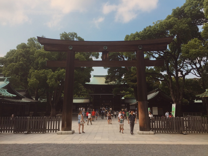 日本，涉谷，明治靖国神社，东京，明治神社，原宿，原宿女孩，神社