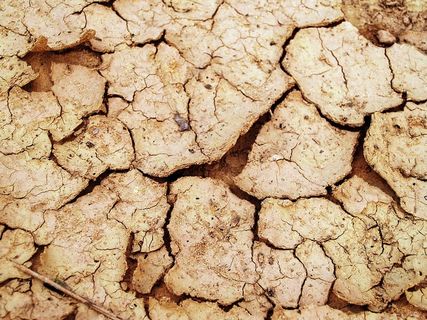 干土