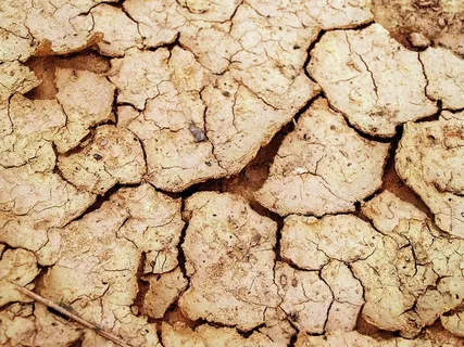 干土