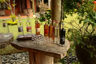 假日、液体、饮料、气瓶、酒吧、植物、瓶子、容器