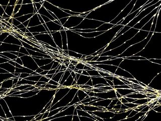 白色、弦光、黑色、背景、纹理、光、突触、连接