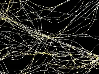 白色、弦光、黑色、背景、纹理、光、突触、连接