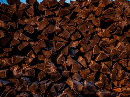 一堆褐色的柴火 一堆褐色的柴火