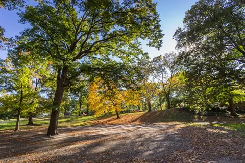 *公园，树木，自然，树木，公园，景观，天际线，春天