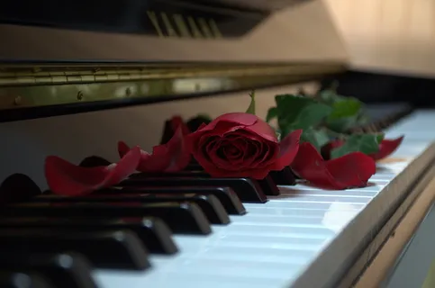 红, 玫瑰, 直立, 钢琴, 音乐, 古典, 花, 音乐设备 红, 玫瑰, 直立, 钢琴, 音乐, 古典, 花, 音乐设备