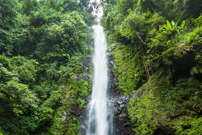 自然，户外，河流，水，瀑布，植被，绿色，丛林