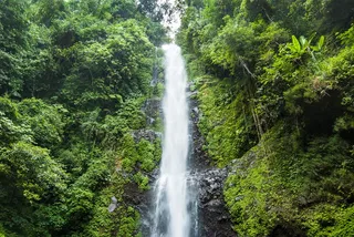 自然，户外，河流，水，瀑布，植被，绿色，丛林