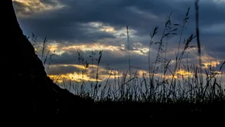 斯洛伐克，二氧化硅，草地，高原，树木，神秘，日落，夜晚