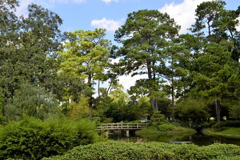 日本花园、木桥、森林、植物园、德克萨斯州休斯顿、东方、大桥