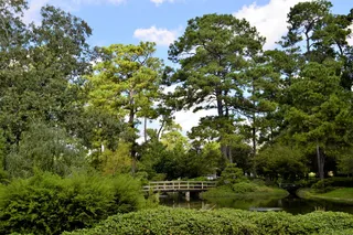 日本花园、木桥、森林、植物园、德克萨斯州休斯顿、东方、大桥