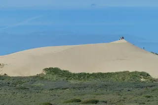 沙，沙丘，海滩，北日德兰，沙丘，沙，沙丘，海，白天