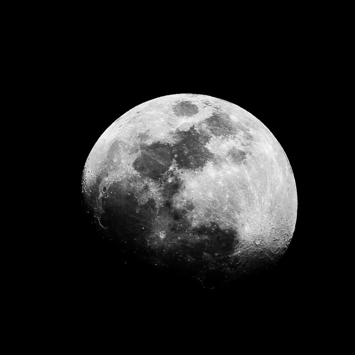 美国，里奇伍德，凸出的月亮，上蜡的凸出的月亮，夜晚，月亮，夜空，太空