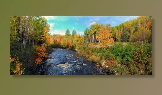 秋天，秋天，颜色，颜色，季节，秋天，秋天，橙色，彩色