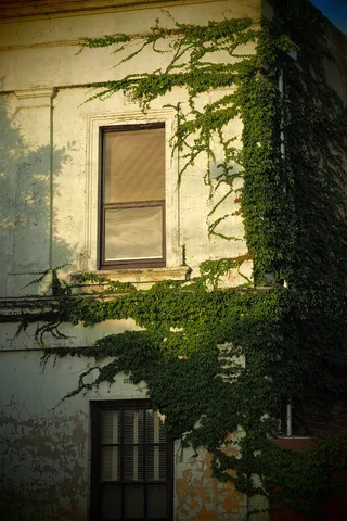 墨尔本，城市，建筑，建筑，窗户，建筑结构，建筑外观，建筑