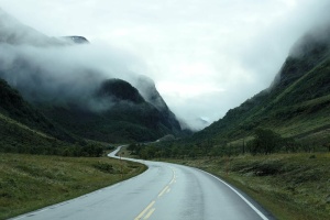 曲线，雾，雾，路，公路旅行，公路旅行，山，自然
