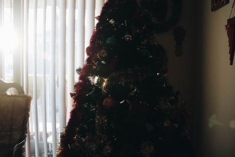 美国，白杨山，圣诞树，树，树荫，圣诞节，装饰，节日