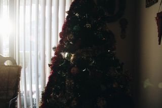 美国，白杨山，圣诞树，树，树荫，圣诞节，装饰，节日