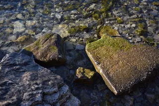 美国，鱼溪，苔藓，水，湖泊，海岸，岩石，岩石