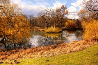 池塘，布伦瑞克，水，水，天空，心情，镜像，云