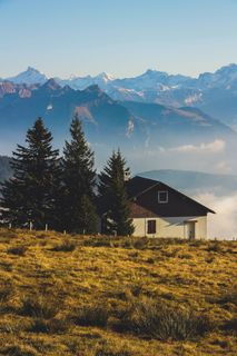 在蓝天下面对群山的树旁，白色和棕色的房子