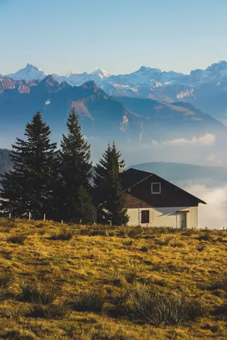 在蓝天下面对群山的树旁，白色和棕色的房子
