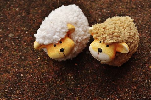 羊，动物，装饰，陶瓷，装饰，有趣，可爱，泰迪熊