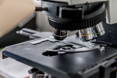 特写照片、黑色、显微镜、实验室、测试、缩放、测试、医院