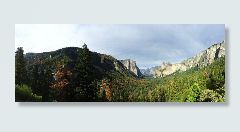 约塞米蒂，隧道景观，加利福尼亚州，约塞米蒂国家公园，山，植物，云天，天空