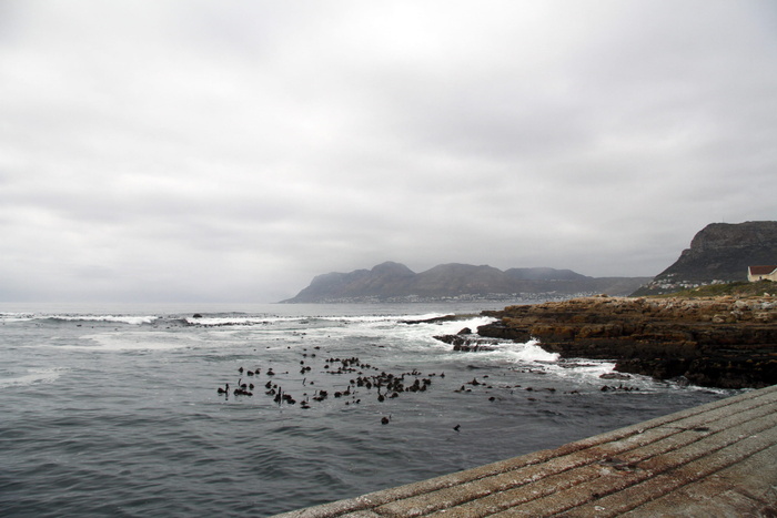 南非，开普敦，巨石滩，崎岖的海岸，岩石海岸，海洋，水，海洋