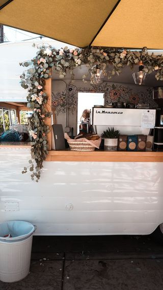 室内设计，室内，家具，植物，浴缸，浴缸，陶器，罐子