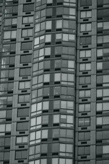 建设, 体系结构, 办公楼, 树, 植物, 模式, 模式, 窗口