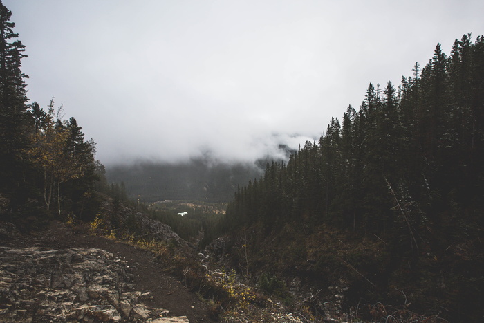 加拿大，班夫国家公园，山脉，班夫，树木，山脊，山顶，森林
