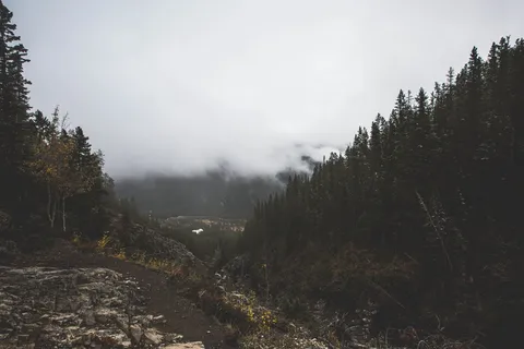 加拿大,班夫国家公园,山脉,班夫,树木,山脊,山顶,森林 加拿大,班夫国家公园,山脉,班夫,树木,山脊,山顶,森林