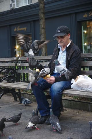 纽约，美国，面包，男人，纽约市，街头，街头食物，喂食