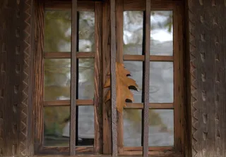 窗，叶，传统，秋天，忧郁，室内，没有人，天