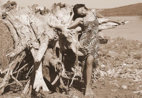 女孩，野性，根，水，连衣裙，豹子，美女，棕色