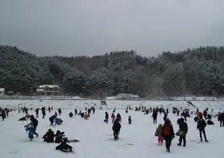 鳟鱼节，平昌，冬天叫现在，冰，寒冷的温度，冬天，一群人，人群
