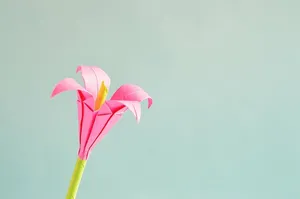 特写照片，粉色，纸花，白色，黄色，花，折纸，纸