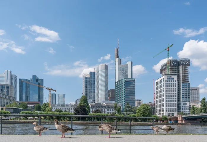 法兰克福，城市，景观，建筑，天际线，建筑，摩天大楼，摩天大厦