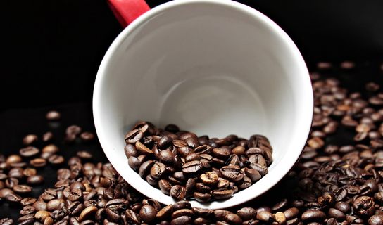 白色,红色,陶瓷,马克杯,包围,咖啡豆,咖啡杯,杯子 白色,红色,陶瓷,马克杯,包围,咖啡豆,咖啡杯,杯子